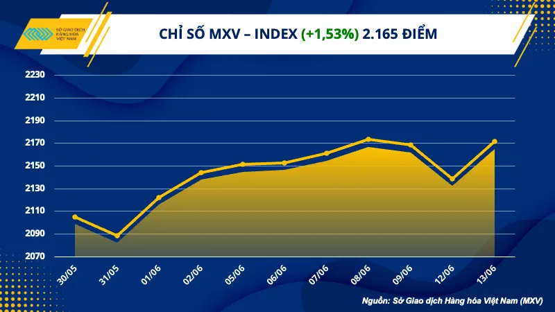 Giá trị giao dịch tại MXV đạt mức cao nhất từ tháng 11/2022