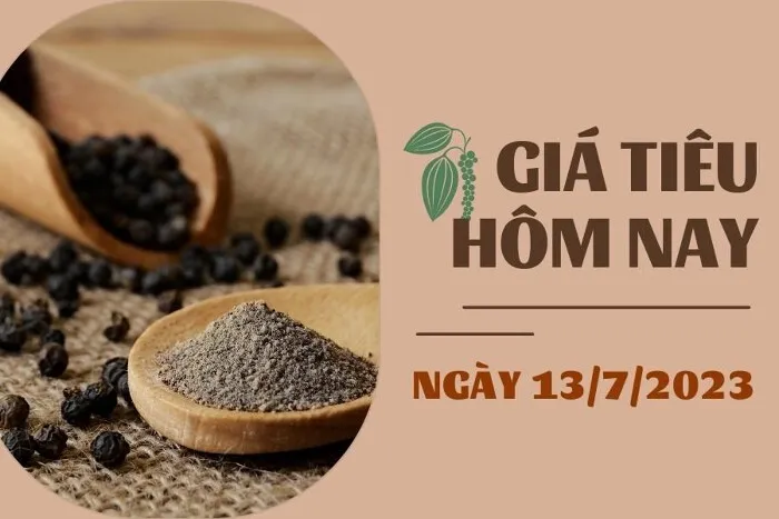 Giá Tiêu và Cao su hôm nay 13/7: Tiêu đồng loạt giảm, cao su TOCOM tăng không quá 0,1%