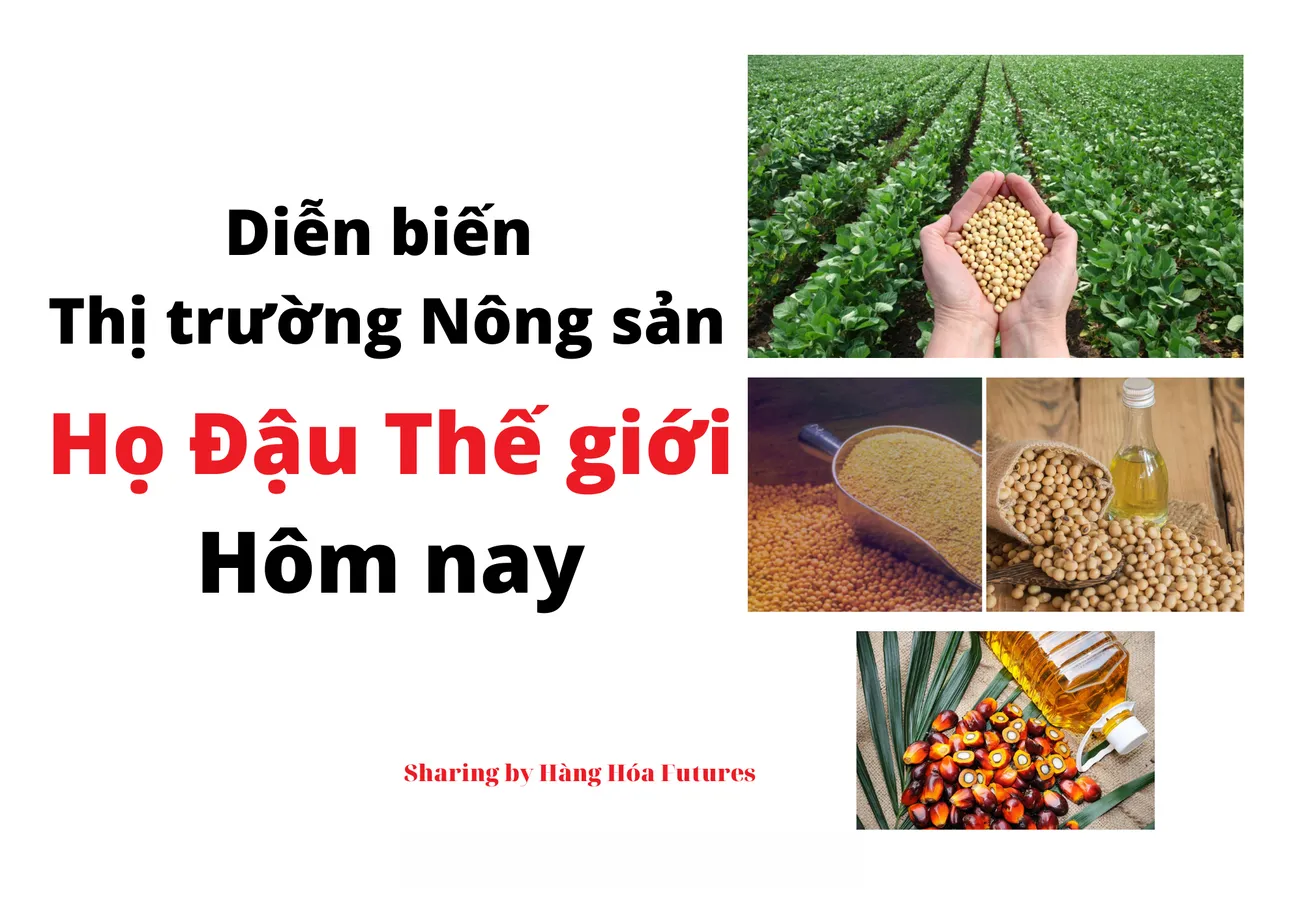 Diễn biến Thị trường Nông sản -Họ Đậu Quốc tế ngày 06/7/2023