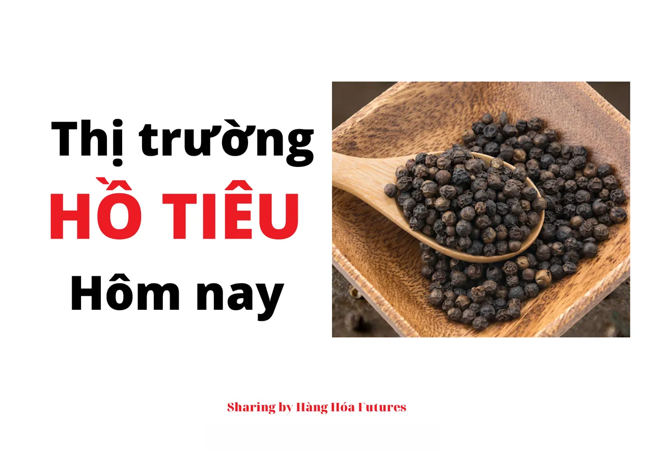 Thị trường Hồ Tiêu ngày 11/07/2023