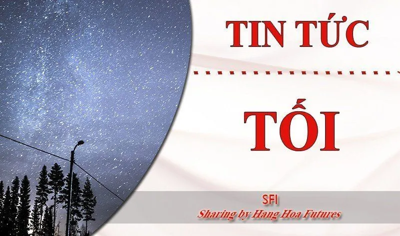 [Tin tức Tối] - Ngày 12.12.2023