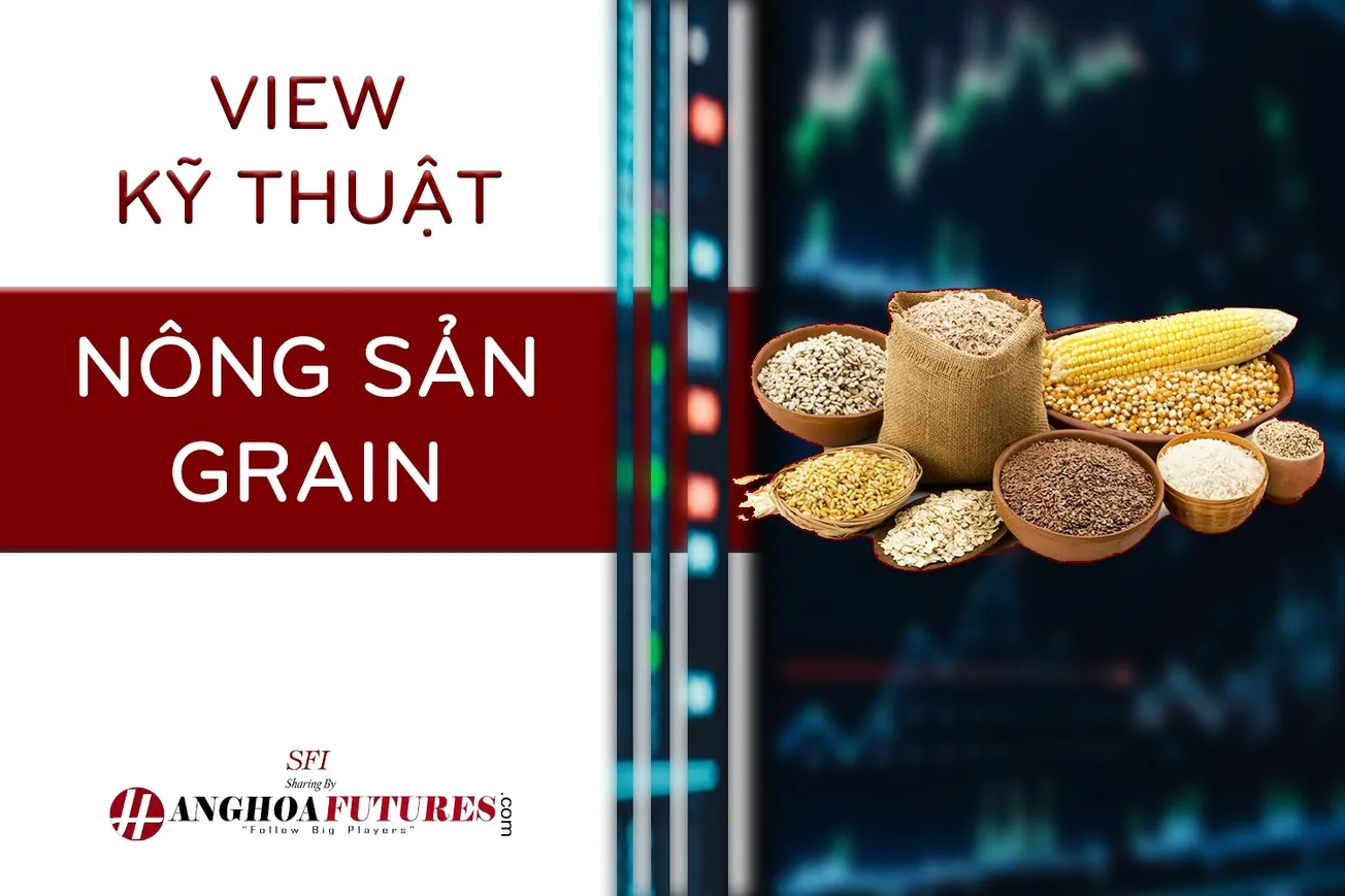 [View Kỹ thuật] - Nông sản - Ngày 20.03.2024