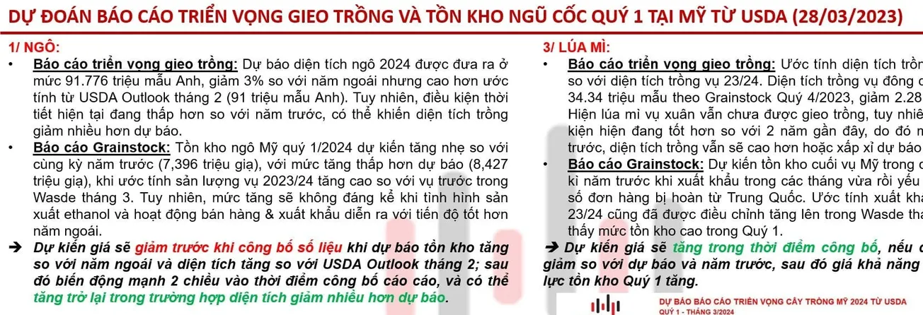 Đánh giá Báo cáo Triển vọng Cây trồng và Báo cáo tồn kho tối nay,  Thứ Năm, 28.03.2024