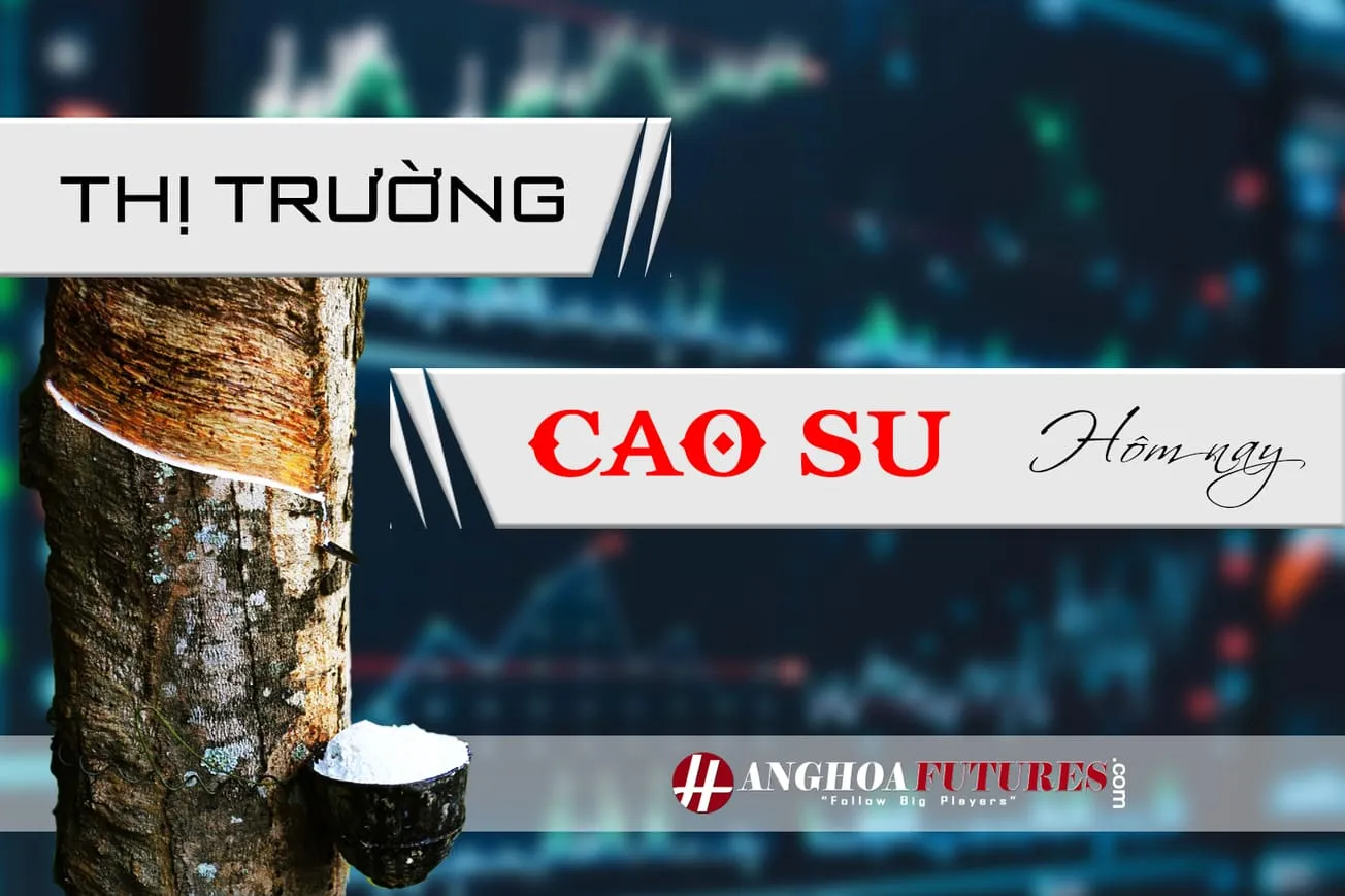 Thị trường Cao Su Hôm nay ngày 18/03/2024