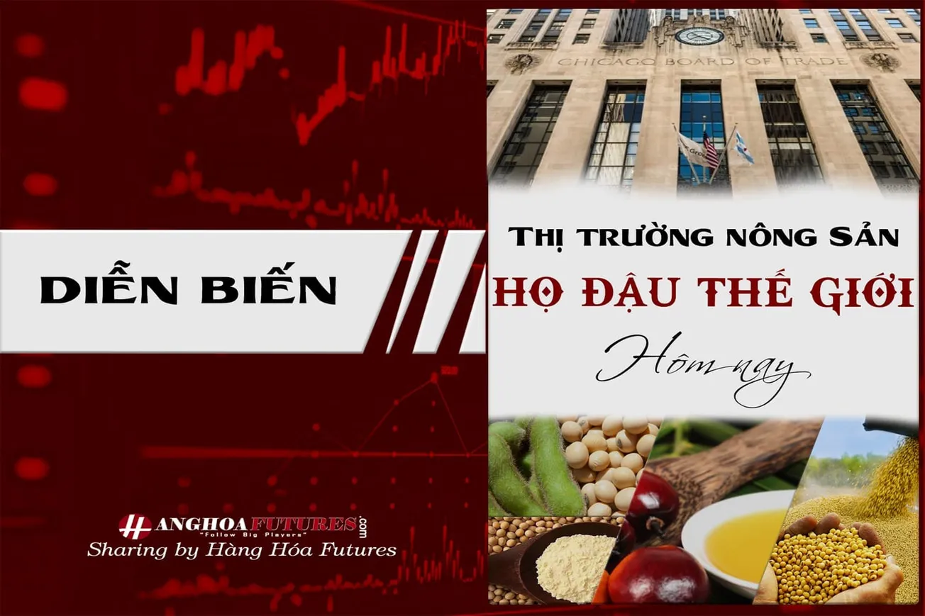 Diễn biến Thị trường Nông sản -Họ Đậu Quốc tế ngày 19/03/2024