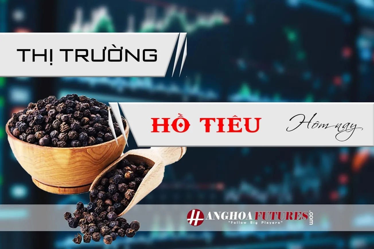 Thị trường Hồ Tiêu ngày 20/03/2024