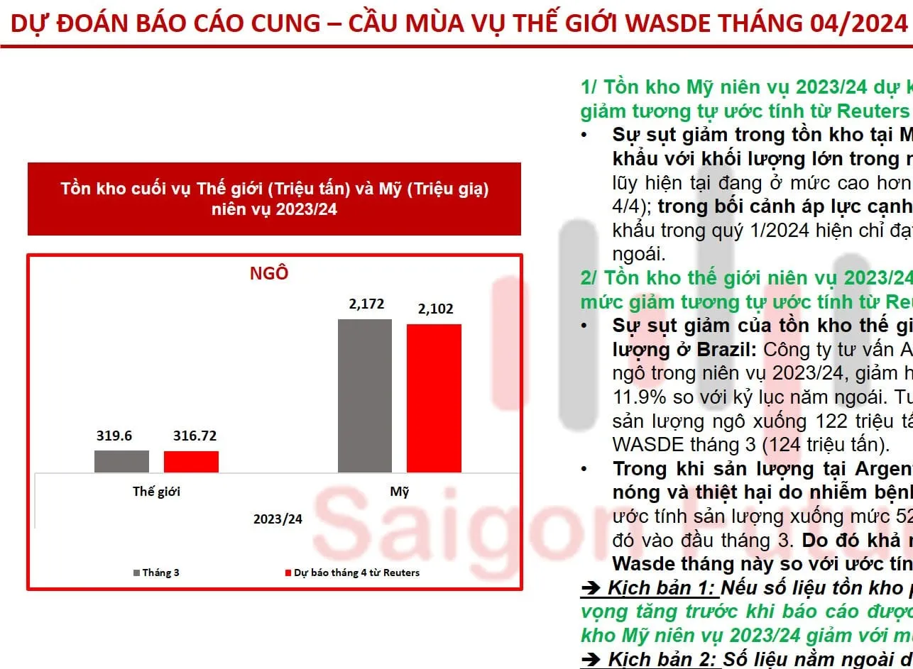 Một số phân tích và dự đoán cho Báo cáo Wasde tháng 4/2024