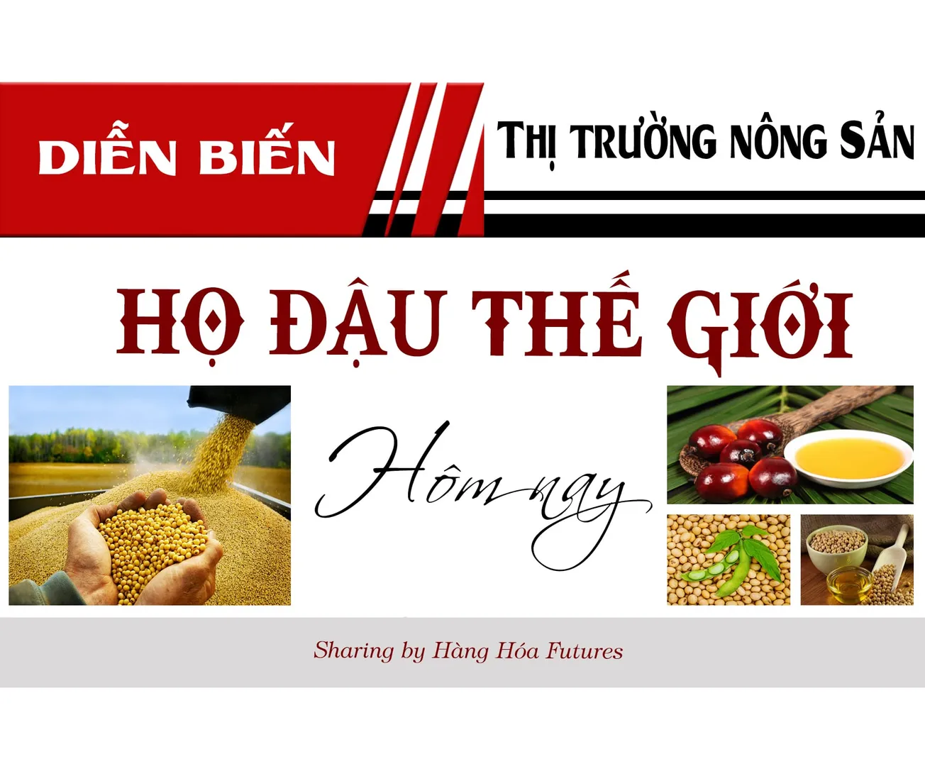 Diễn biến Thị trường Nông sản -Họ Đậu Quốc tế ngày 16/04/2024