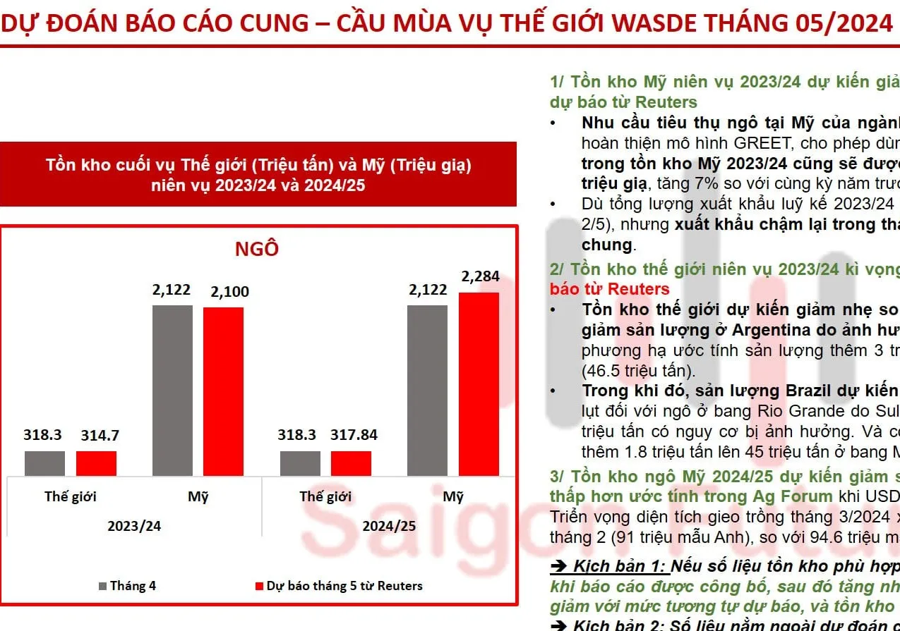 Một số phân tích và dự đoán cho Báo cáo Wasde tháng 4/2024