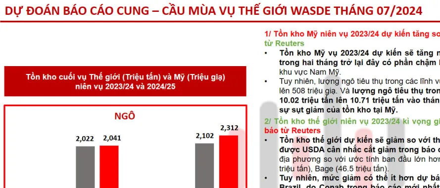 Một số phân tích và dự đoán cho Báo cáo Wasde tháng 7/2024