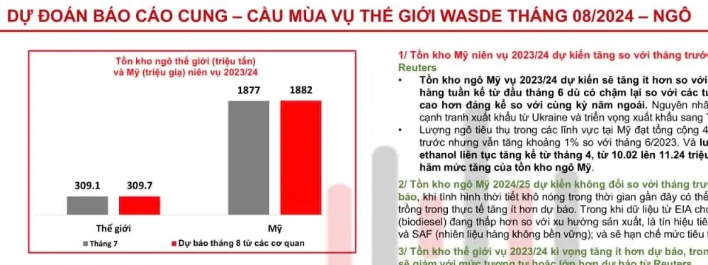 Một số phân tích và dự đoán cho Báo cáo Wasde tháng 8/2024