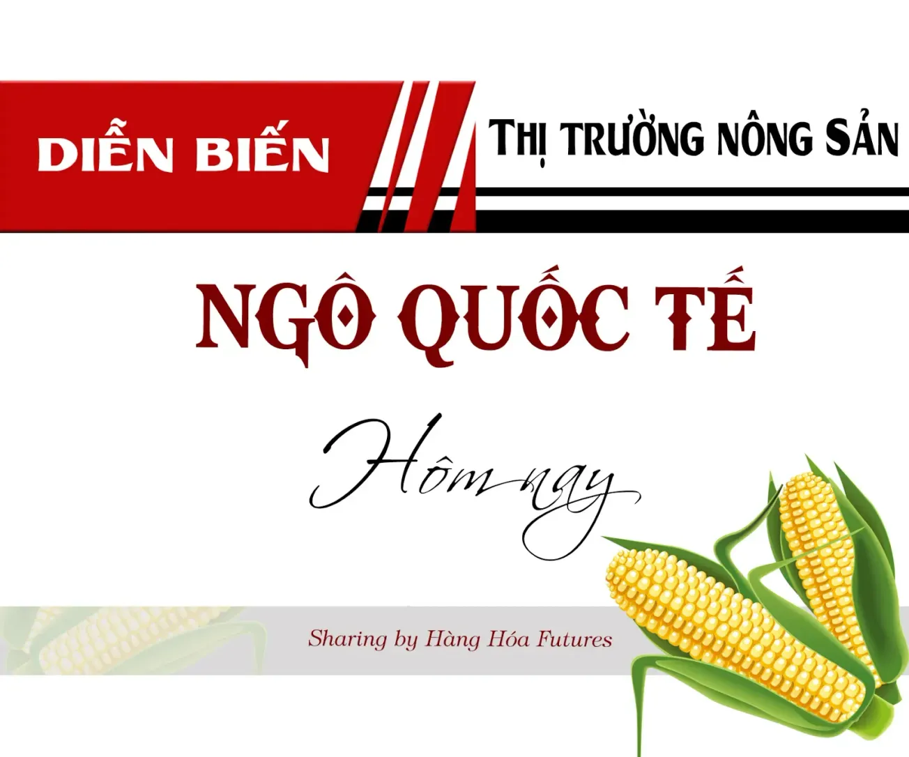 Diễn biến Thị trường Ngô Quốc tế ngày 30/8/2024