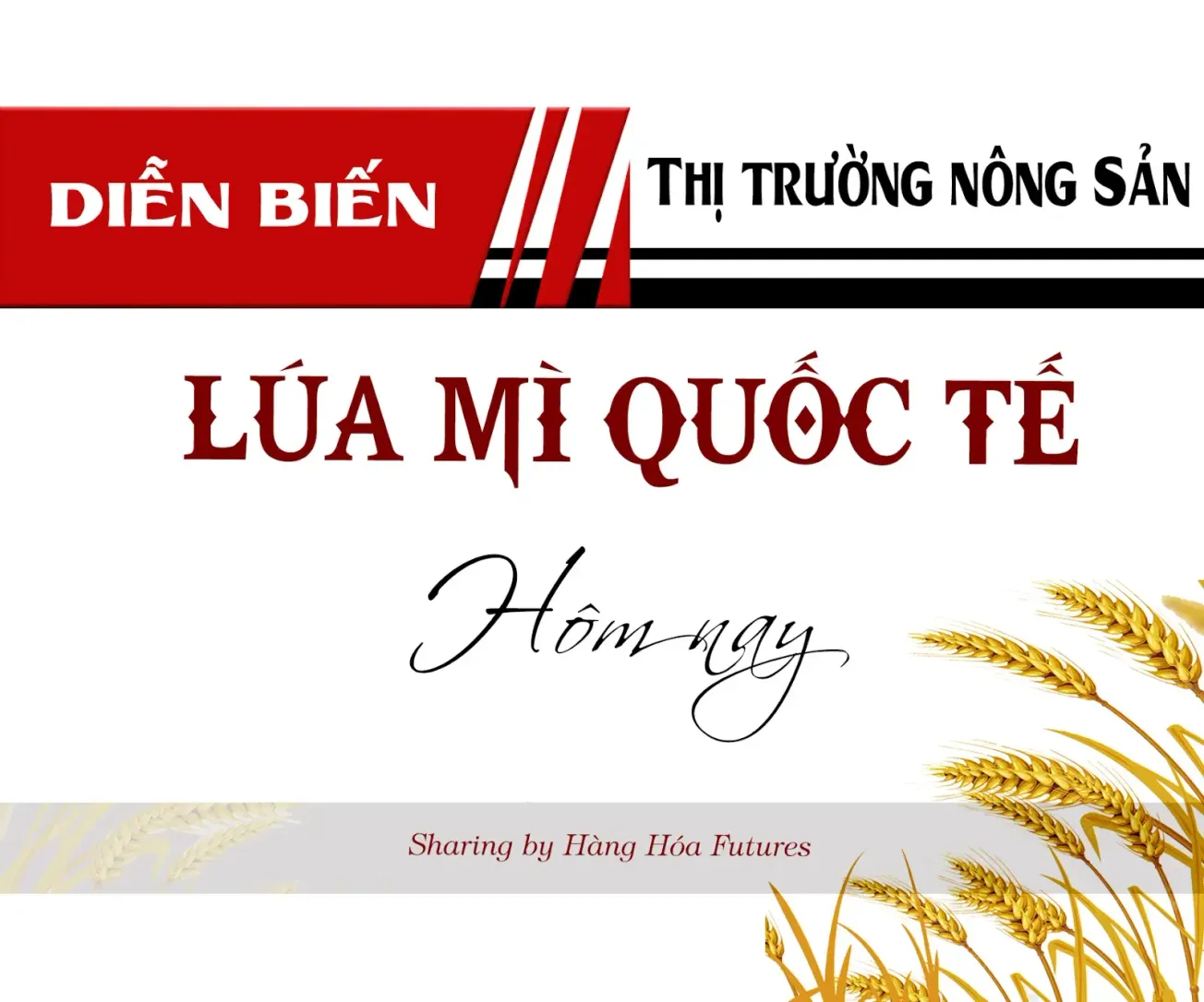 Diễn biến Thị trường Lúa mì Quốc tế ngày 30/8/2024