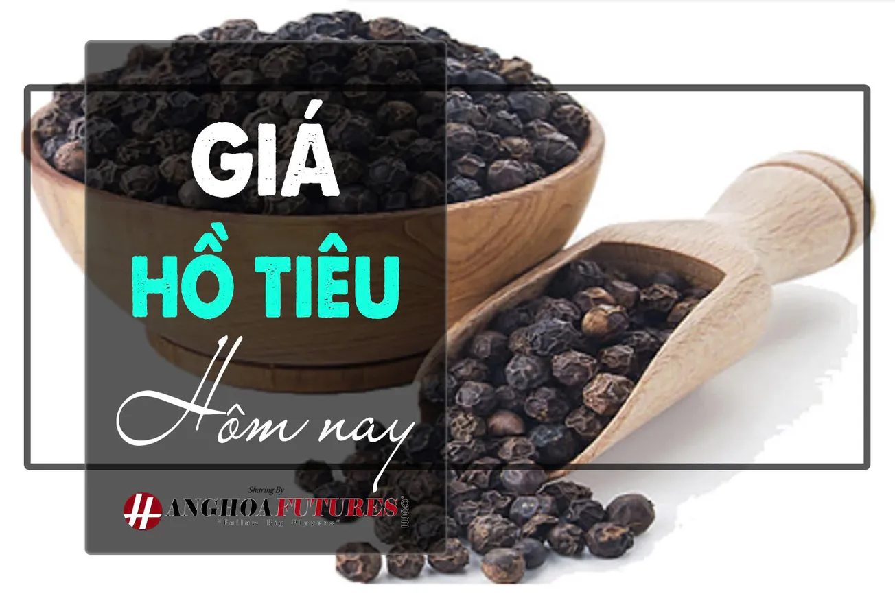 Giá tiêu cuối tuần 10/8 tiếp đà giảm