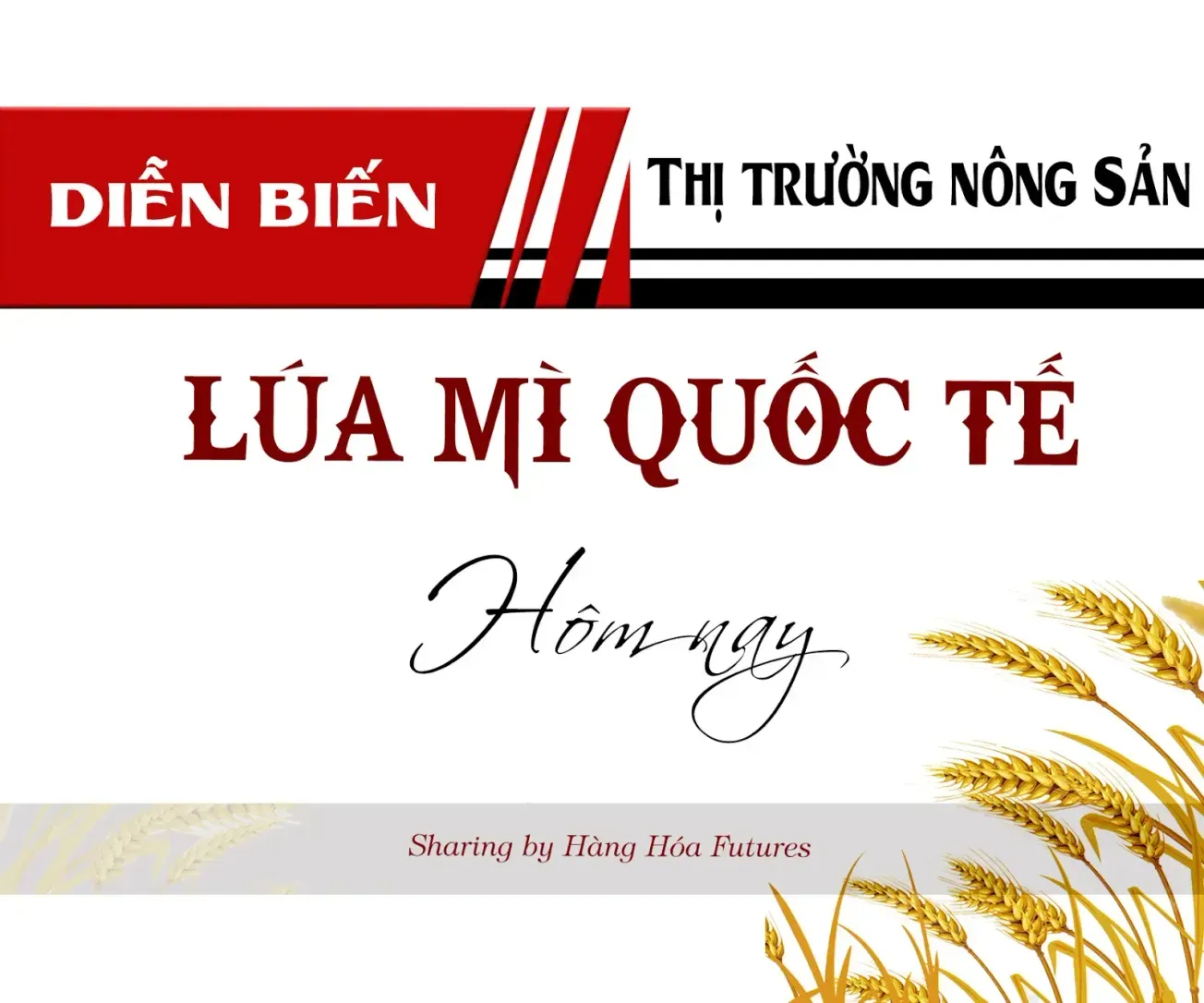 Diễn biến Thị trường Lúa mì Quốc tế ngày 05/09/2024