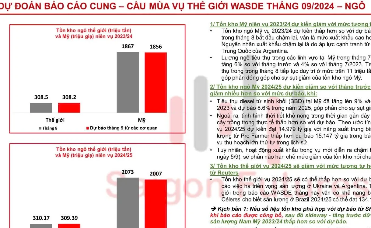 Đánh giá Báo cáo Triển vọng Cây trồng và Báo cáo tồn kho (WASDE) tối nay, Thứ Năm, 12.09.2024