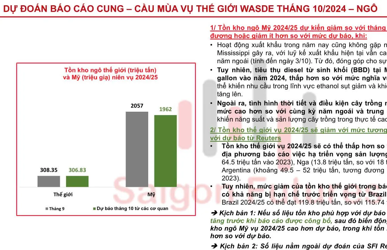 Đánh giá Báo cáo Triển vọng Cây trồng và Báo cáo tồn kho (WASDE tháng 10.2024) - Thứ Sáu, 11.10.2024