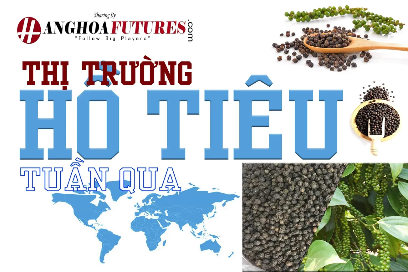 Thị trường Hồ Tiêu Tuần qua (21/11-27/11/2024)