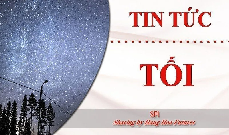 [Tin tức Tối]  - Ngày 17.12.2024